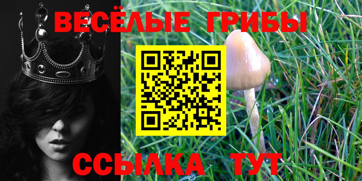Воронеж  Псилоцибиновые грибы GOLDEN TEACHER  Вход с VPN 
